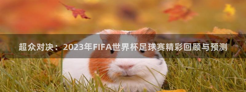 意昂2登录入口：超众对决：2023年