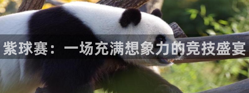 意昂2官网：紫球赛：一场充满想象力的