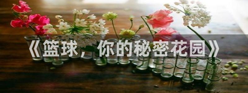 意昂2如何注册开户：《篮球，你的秘密