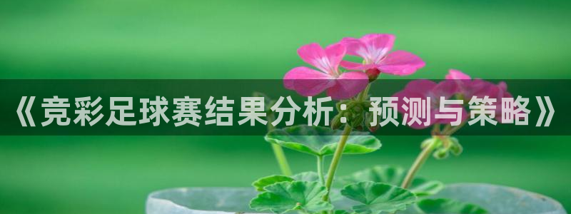 意昂2如何注册开户：《竞彩足球赛结果