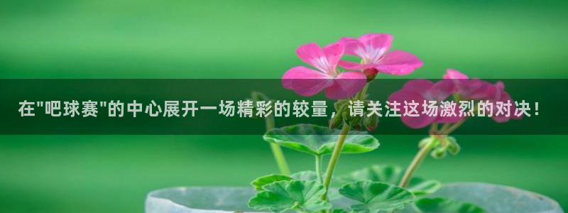 意昂2登录注册：在\