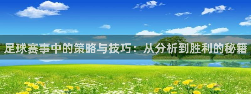 意昂2娱乐直属：足球赛事中的策略与技
