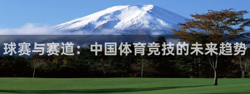 意昂2平台怎么样