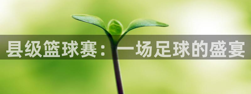 意昂2意昂2平台