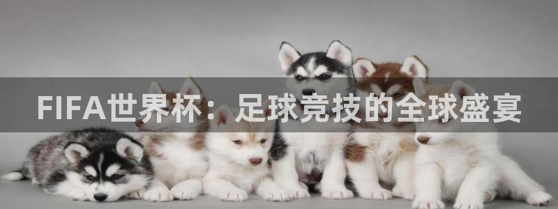 意昂2平台