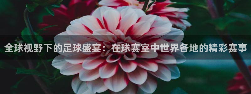  意昂2登录入口：全球视野下的足球盛宴：在球赛室中世界各地的精