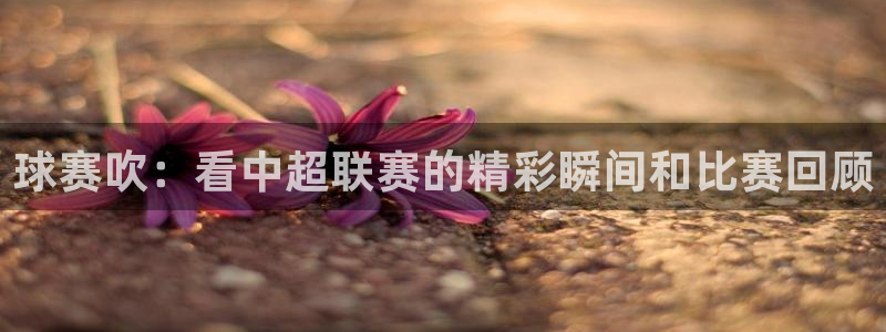 意昂2平台登录：球赛吹：看中超联赛的