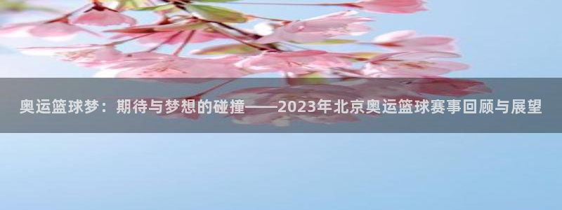 意昂2意昂2平台：奥运篮球梦：期待与梦想的碰撞——2023年