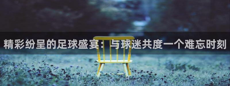 意昂2登录入口：精彩纷呈的足球盛宴：与球迷共度一个难忘时刻