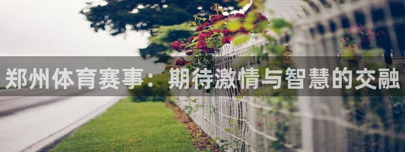 意昂2登录注册：郑州体育赛事：期待激