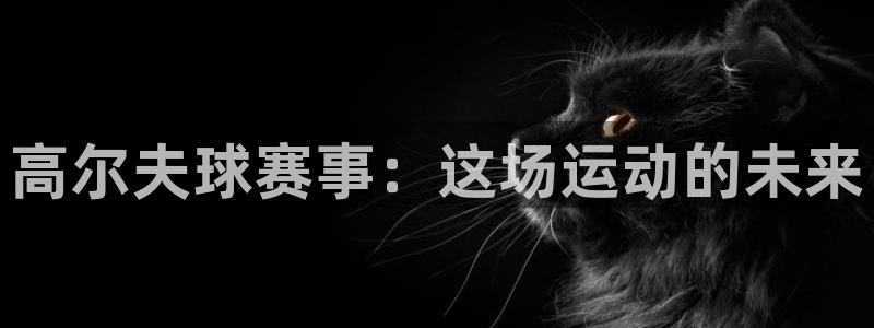  意昂2平台怎么样：高尔夫球赛事：这场运动的未来