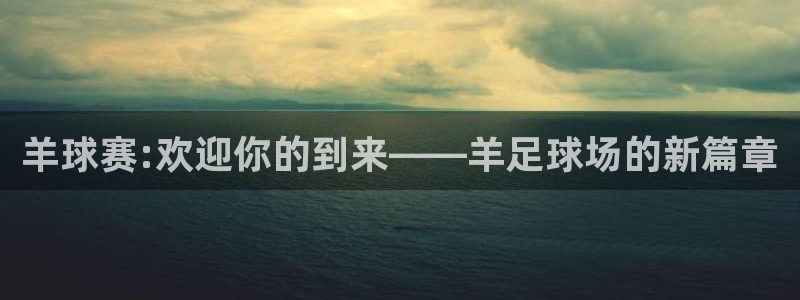 意昂2官方网站：羊球赛:欢迎你的到来——羊足球场的新篇章