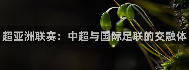 意昂2登录地址：超亚洲联赛：中超与国