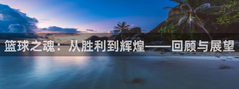 意昂2平台注册：篮球之魂：从胜利到辉煌——回顾与展望