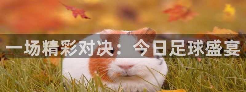 意昂2体育在线平台登录：一场精彩对决：今日足球盛宴
