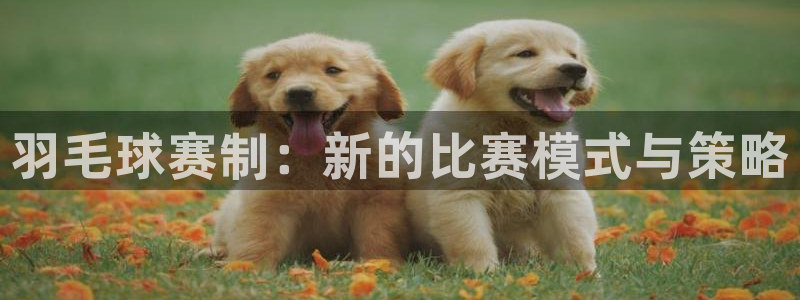 意昂2登录：羽毛球赛制：新的比赛模式