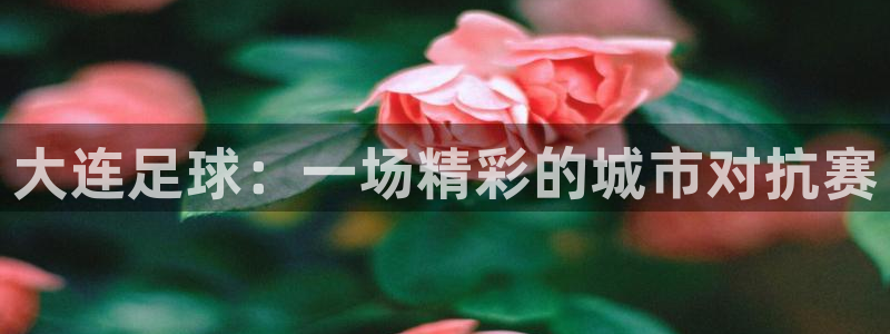  意昂2平台登录：大连足球：一场精彩的城市对抗赛