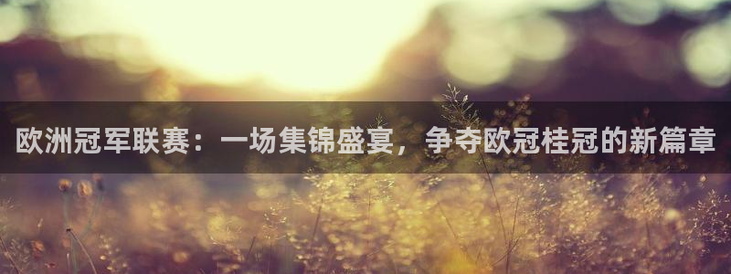 意昂2意昂2平台：欧洲冠军联赛：一场集锦盛宴，争夺欧冠桂冠的