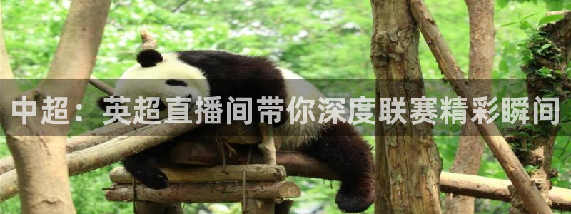 黑白直播在线篮球：中超：英超直播间带你深度联赛精彩瞬间