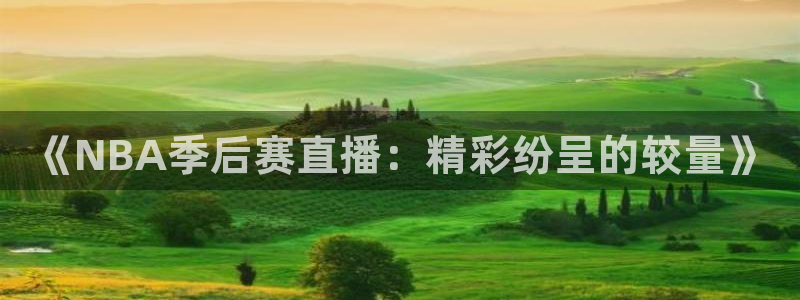 黑白体育官网直播：《NBA季后赛直播：精彩纷呈的较量》