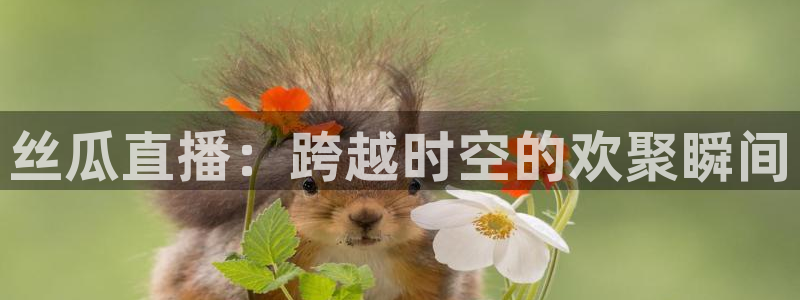 黑白体育直播下载：丝瓜直播：跨越时空的欢聚瞬间