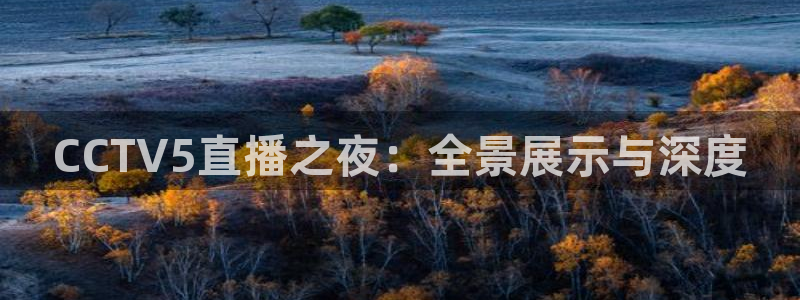 足球黑白直播免费观看直播：CCTV5直播之夜：全景展示与深度