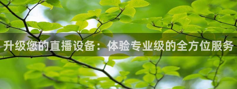 篮球黑白直播：升级您的直播设备：体验专业级的全方位服务