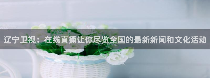 黑白直播免费高清看球：辽宁卫视：在线直播让你尽览全国的最新新闻和文化活动