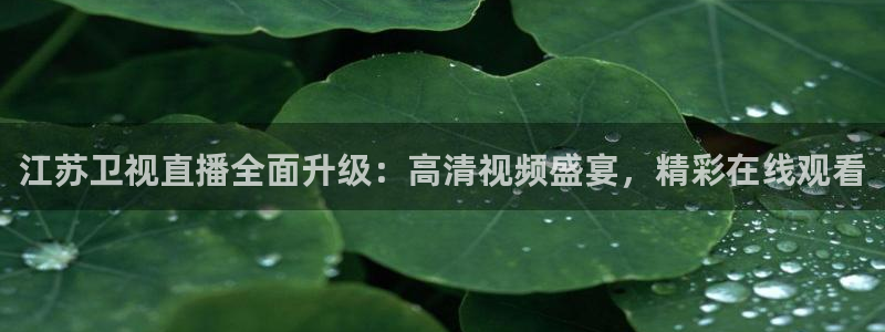 黑白nba免费高清直播：江苏卫视直播全面升级：高清视频盛宴，精彩在线观看