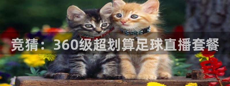 黑白体育在线直播免费：竞猜：360级超划算足球直播套餐