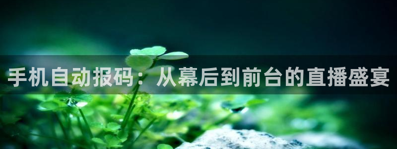 nba直播 黑白体育：手机自动报码：从幕后到前台的直播盛宴